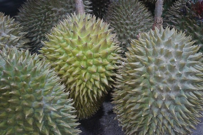 Tiongkok Resmi Buka Akses Ekspor Durian Beku Indonesia. (Pixabay.com/SpencerWing)