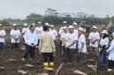 Wamentan Sudaryono menyerahkan traktor dan combine harvester ke petani Ketapang, dia peringatkan larangan jual atau sewa alsintan bantuan negara. (Dok. Kementerian Pertanian)
