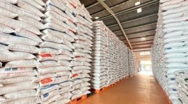 Stok beras SPHP Bulog disalurkan melalui Pemda untuk memastikan harga tetap stabil. (Dok. Bulog.co.id)

