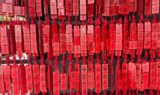 Merah: Mengungkap Kisah di Balik Warna Paling Berani yang Membara