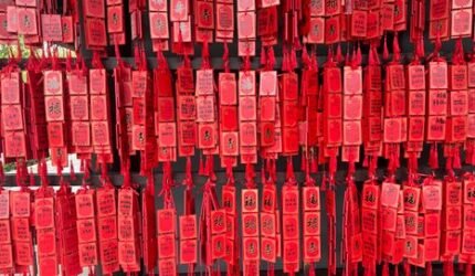 Merah: Mengungkap Kisah di Balik Warna Paling Berani yang Membara