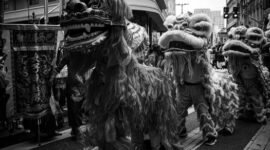 Pertunjukan barongsai yang enerjik di Indonesia, memadukan tradisi Tionghoa dengan semangat kebersamaan masyarakat multikultural, menjadi simbol kebangkitan budaya dan toleransi yang membanggakan.