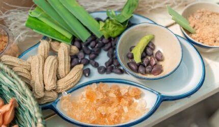 Melacak Jejak Rasa: Warisan Kuliner Peranakan yang Tak Lekang oleh Waktu